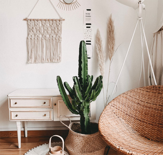 alyssa-strohmann-2r2RUsEU1Aw-unsplash