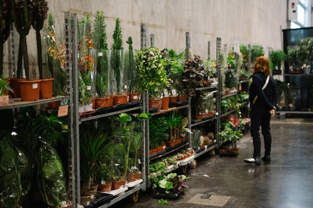 Bourse aux plantes